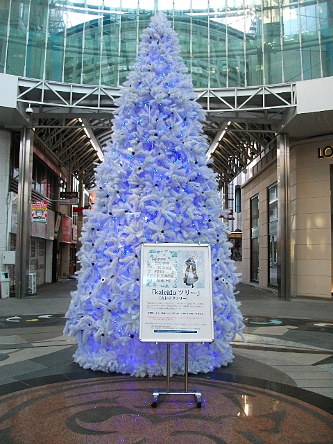 見上げる高さの立派なツリー