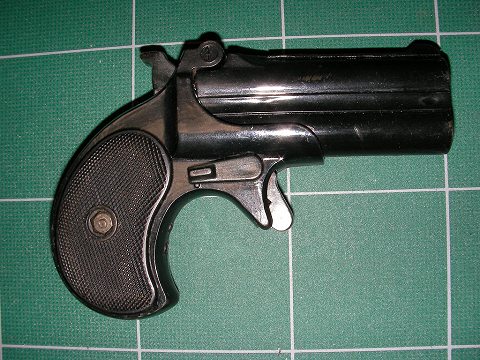 裏側はシンプルなプロフィールだ