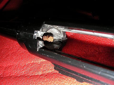 キノコじゃないよ