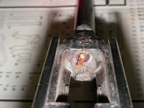 （またまた）キノコじゃないよ